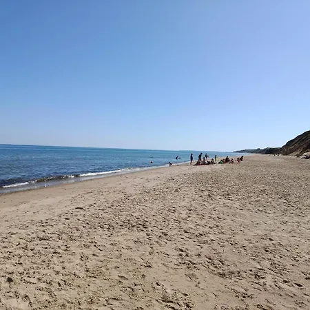 The Feathered Nest At The Cracked Hen ゴリー