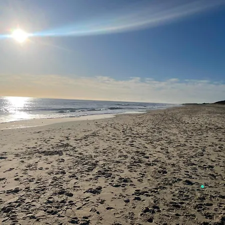 The Feathered Nest At The Cracked Hen