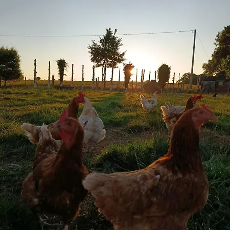 The Feathered Nest At The Cracked Hen Oda ve Kahvaltı 3*
