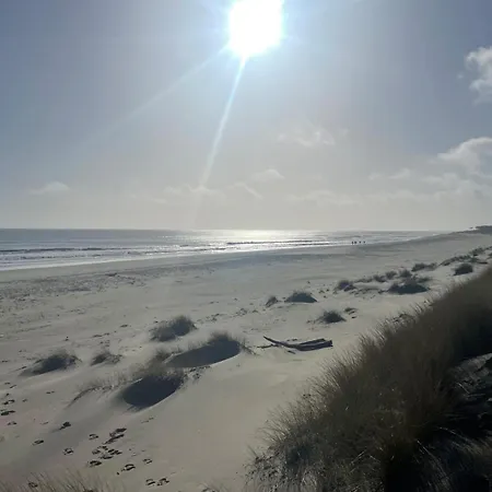 The Feathered Nest At The Cracked Hen 3*