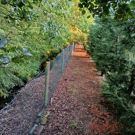 The Feathered Nest At The Cracked Hen ゴリー