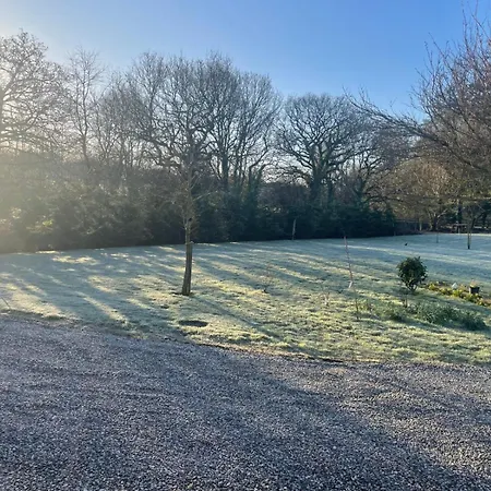 The Feathered Nest At The Cracked Hen