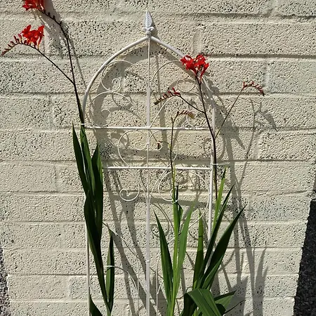 The Feathered Nest At The Cracked Hen 3* Gorey