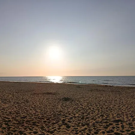 The Feathered Nest At The Cracked Hen Panzió