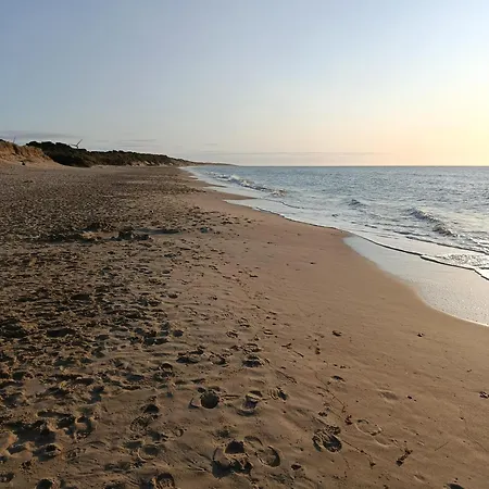 The Feathered Nest At The Cracked Hen Panzió