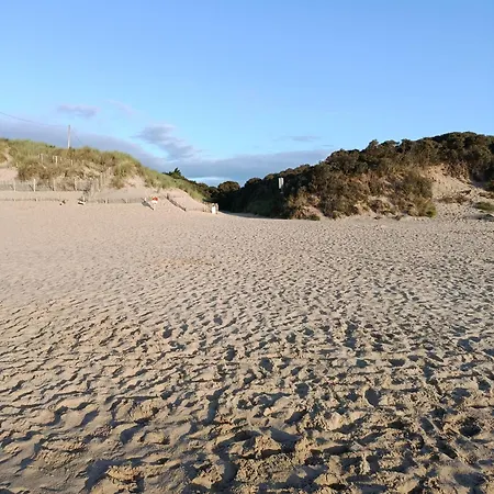 The Feathered Nest At The Cracked Hen ゴリー