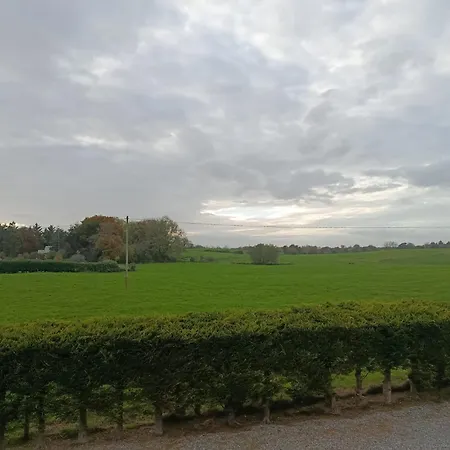 ベッド・アンド・ブレックファスト The Feathered Nest At The Cracked Hen ゴリー