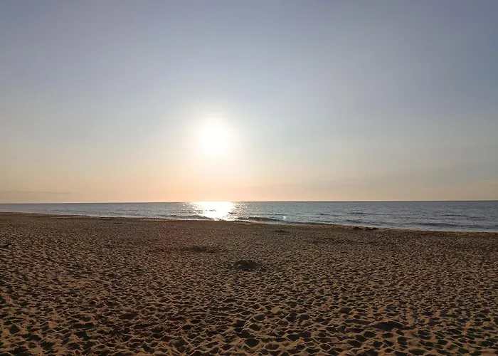 The Feathered Nest At The Cracked Hen Couette-café